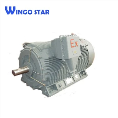 High Speed ​​Ac eksplozyon elektrik motè